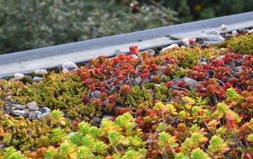 the cost of Eoropaidh green roof installation